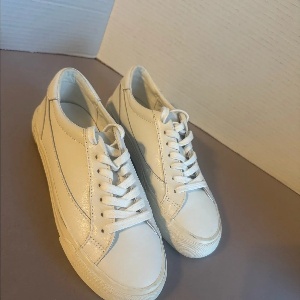 Madewell Women's Sidewalk Low-Top Sneaker